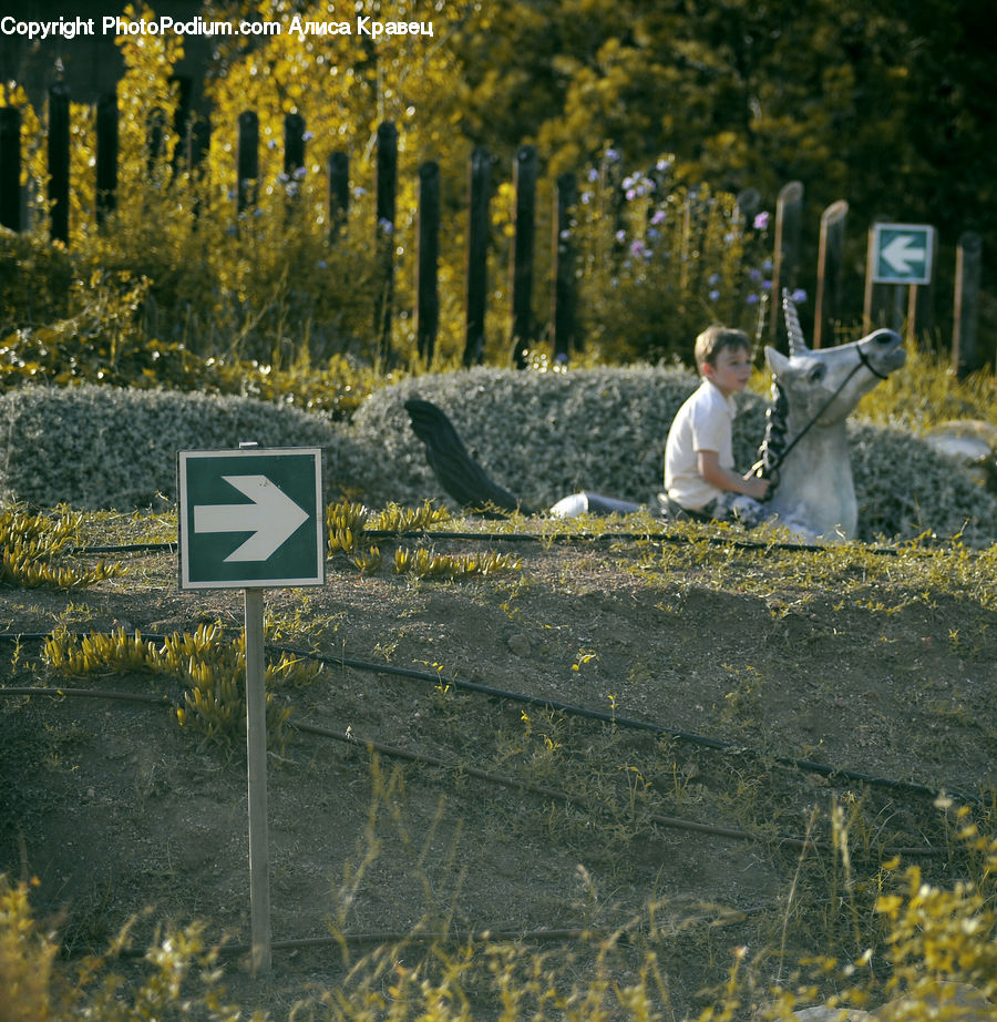 Leisure Activities, Boat, Dinghy, Sign, Fence, Hedge, Plant