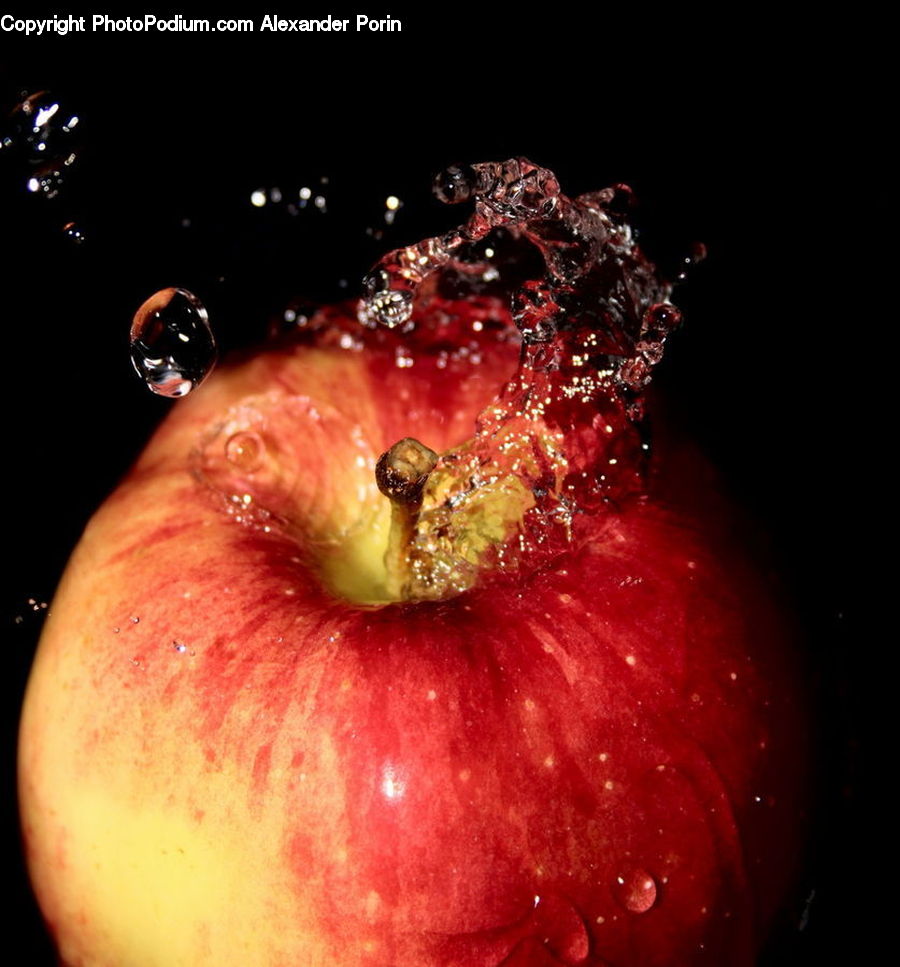 Apple, Fruit, Glitter, Light, Blossom, Flora, Flower