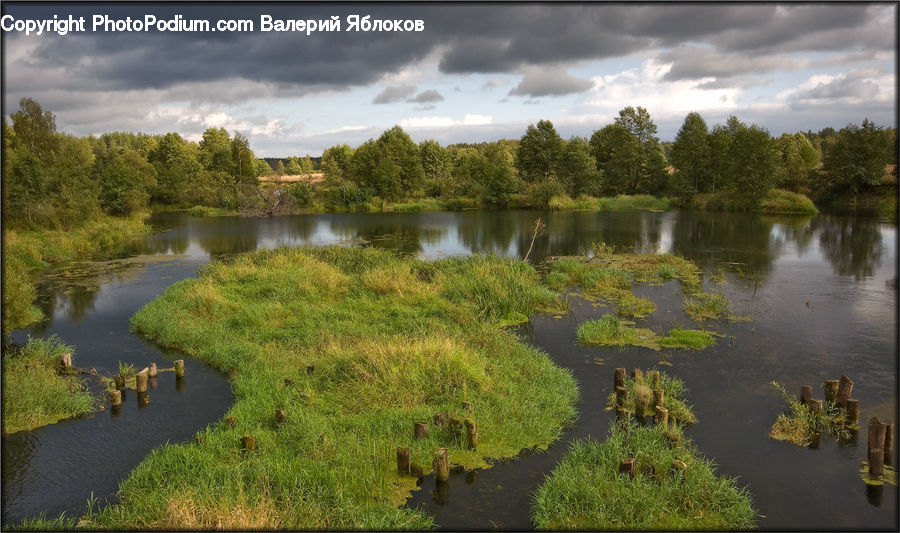 Outdoors, Pond, Water, Land, Marsh, Swamp, River