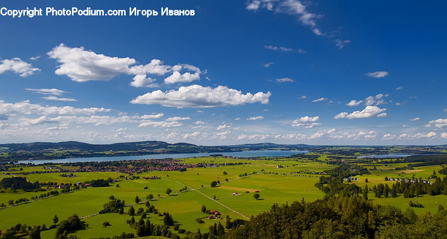 Field, Grass, Grassland, Land, Outdoors, Landscape, Nature