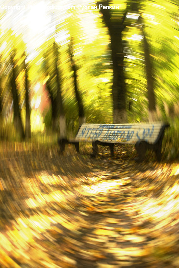 Bench, Flare, Light, Sunlight, Dirt Road, Gravel, Road