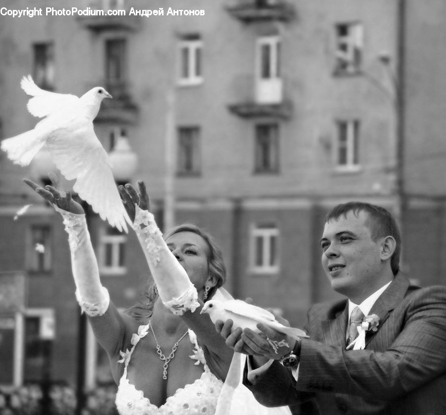People, Person, Human, Bird, Pigeon, Clothing, Overcoat