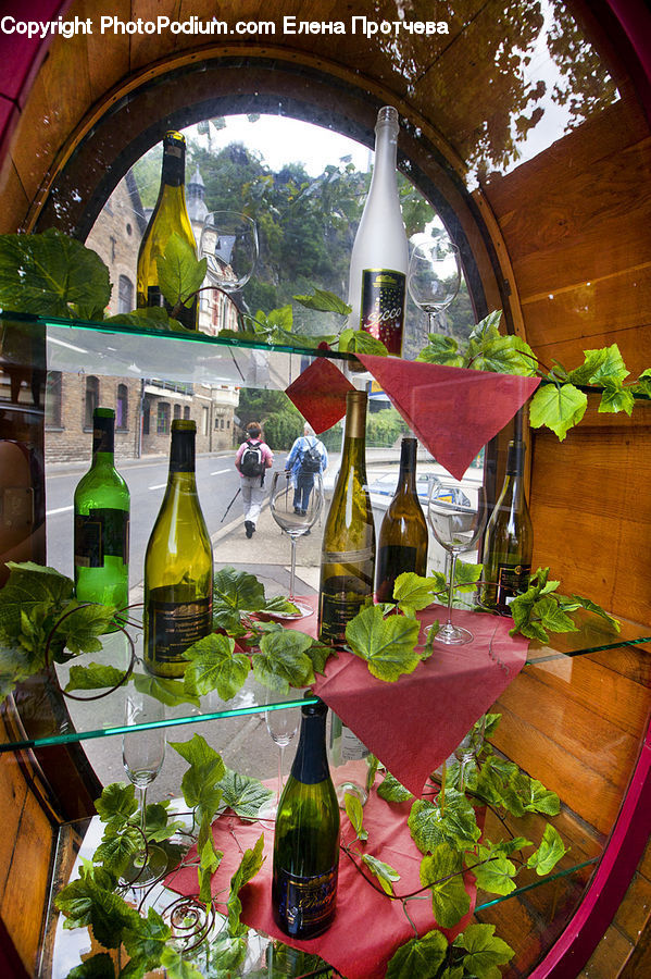 Plant, Potted Plant, Herbs, Mint, Glass, Beverage, Bottle
