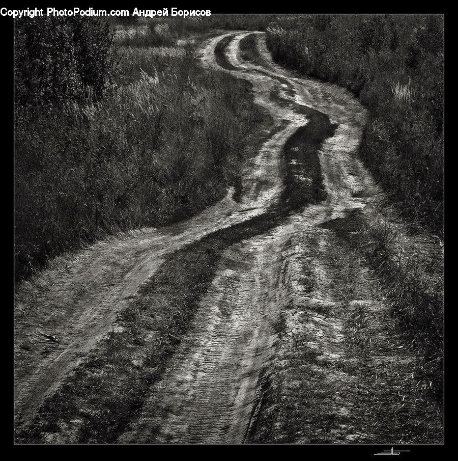 Asphalt, Tarmac, Countryside, Outdoors, Path, Trail