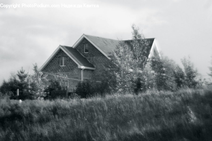 Building, Cottage, Housing, Countryside, Outdoors, Farm, Field