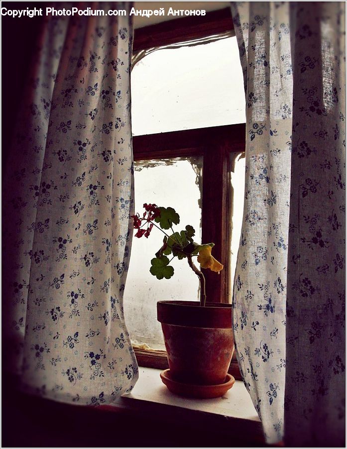 Plant, Potted Plant, Curtain, Home Decor, Column, Pillar, Flower Arrangement