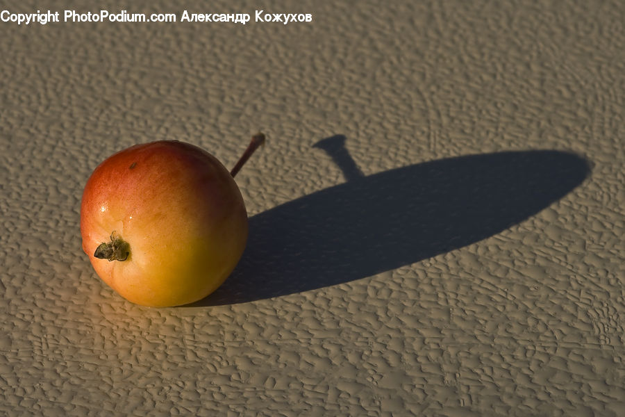 Fruit