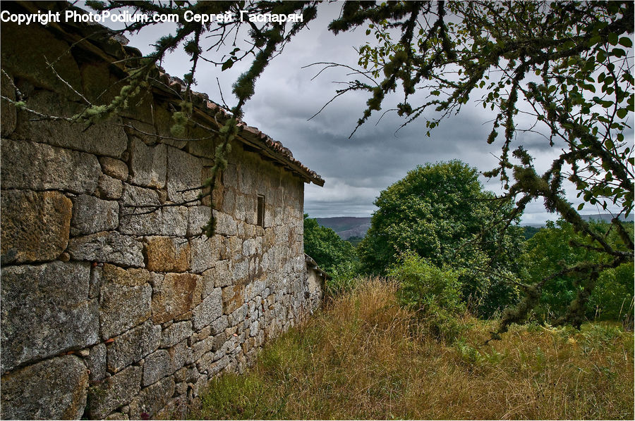 Castle, Fort, Dirt Road, Gravel, Road, Ruins, Plant