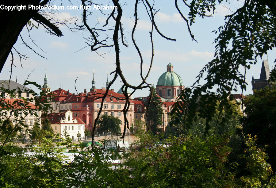 Architecture, Castle, Fort, Cathedral, Church, Worship, Plant