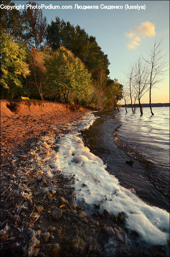Outdoors, River, Water, Creek, Dirt Road, Gravel, Road
