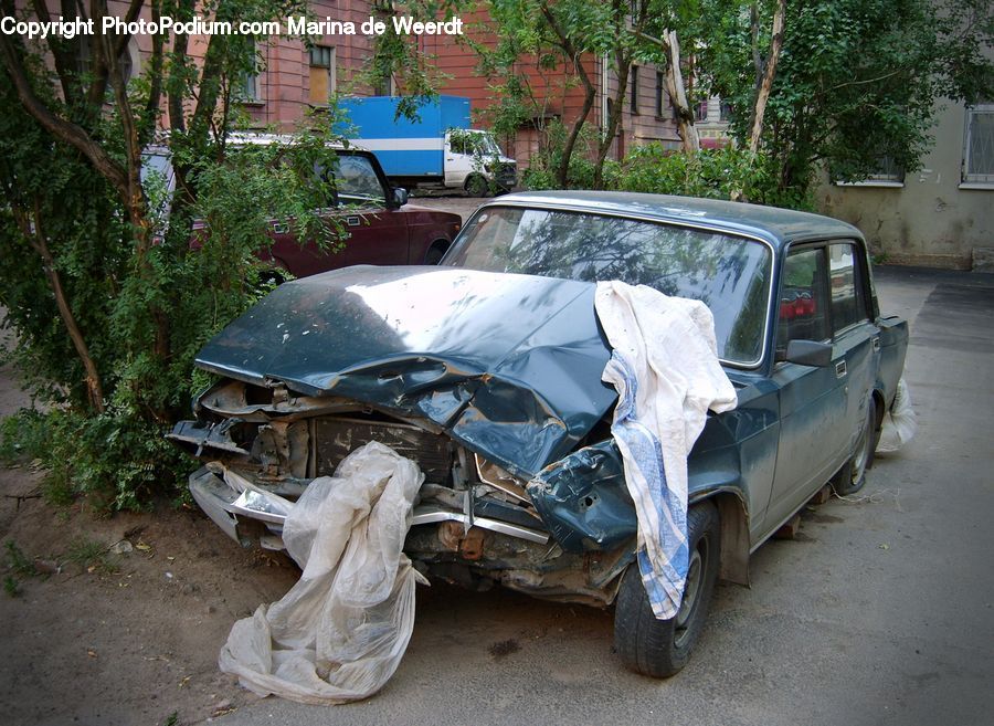 Plant, Potted Plant, Flagstone, Backyard, Yard, Automobile, Car