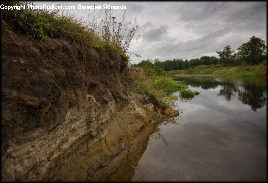 Plant, Potted Plant, Soil, Outdoors, River, Water, Landscape