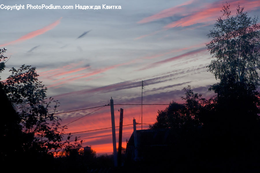 Dawn, Dusk, Red Sky, Sky, Sunrise, Sunset, Outdoors