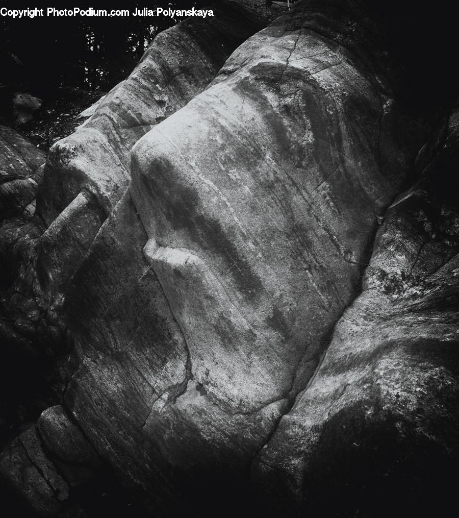 Rock, Tomb, Outdoors, Plant, Tree, Forest, Vegetation