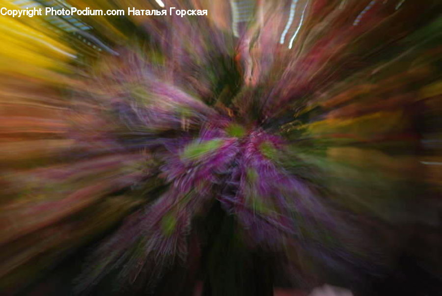 Fireworks, Night, Fractal, Blossom, Flora, Flower, Geranium