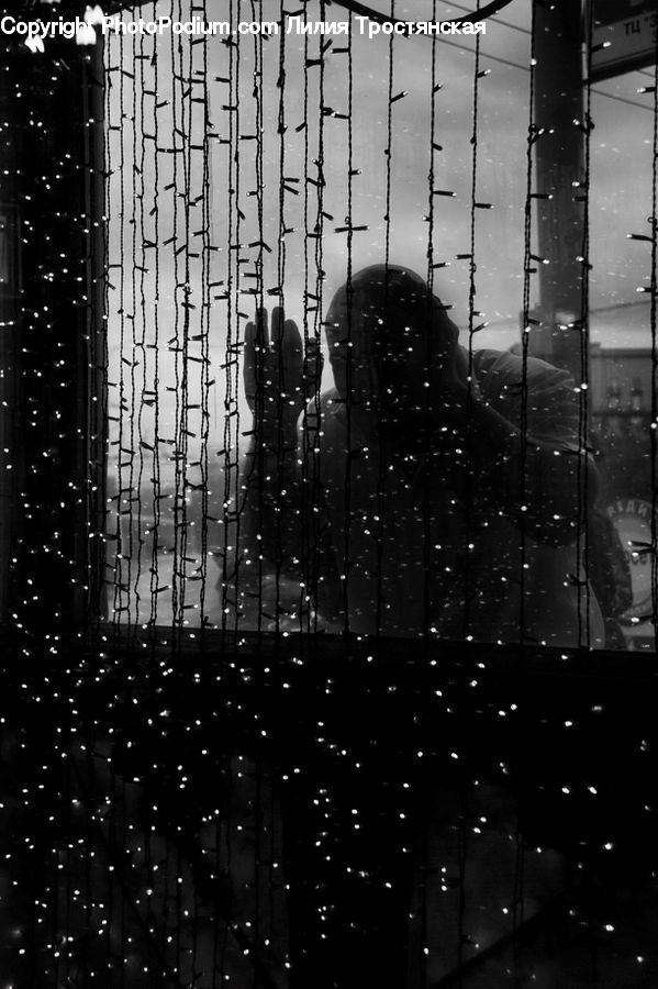 Silhouette, Lighting, Building, City, High Rise, Conifer, Fir