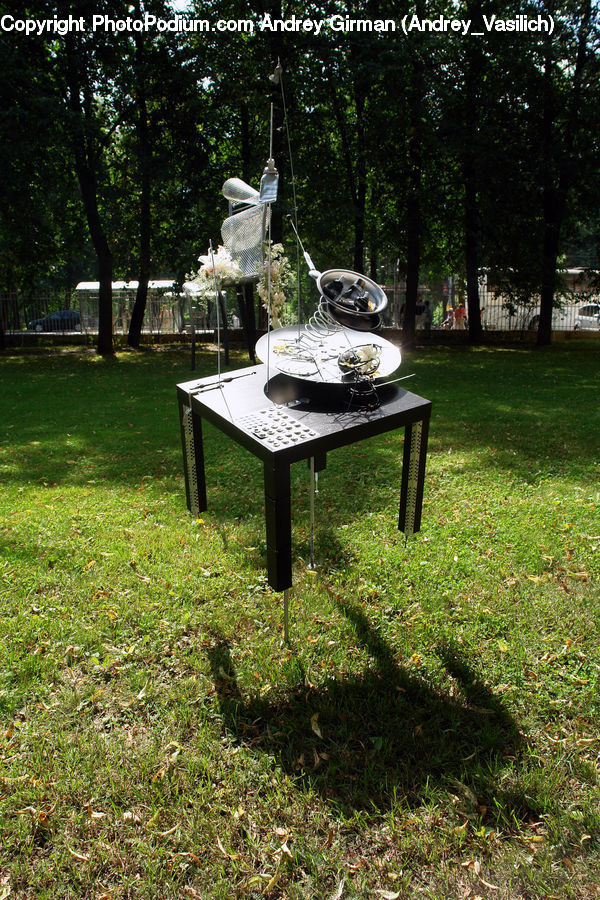 Chair, Furniture, Dining Table, Table, Bench, Coffee Table, Plant