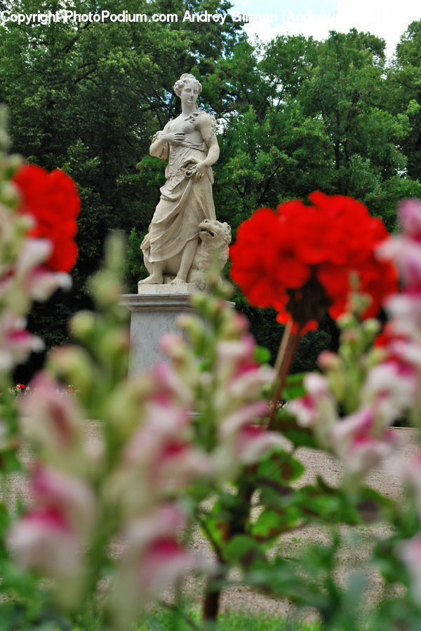Human, People, Person, Art, Sculpture, Statue, Blossom
