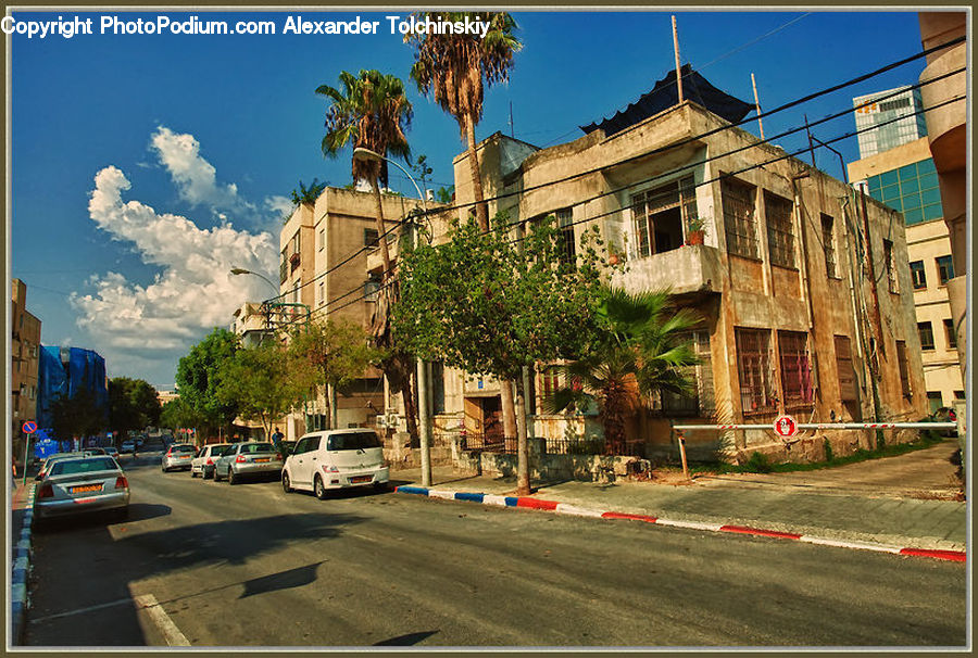 Palm Tree, Plant, Tree, Apartment Building, Building, High Rise, Intersection