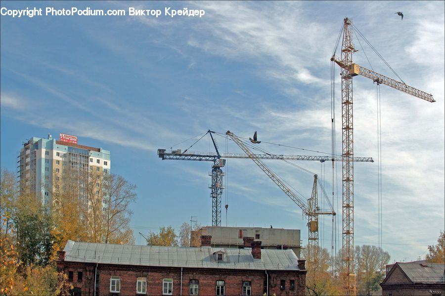 Constriction Crane, Forest, Vegetation, Grove, Land, Roof, Building