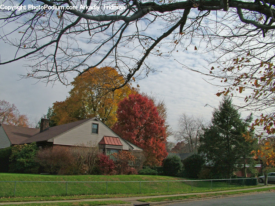 Building, Cottage, Housing, Office Building, Landscape, Nature, Scenery