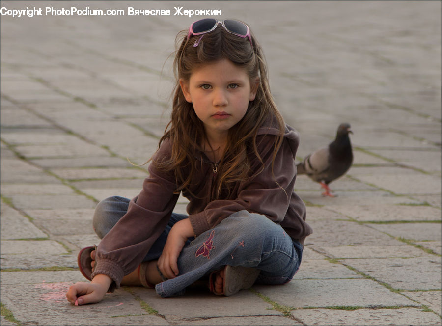 Human, People, Person, Bird, Pigeon, Female, Girl