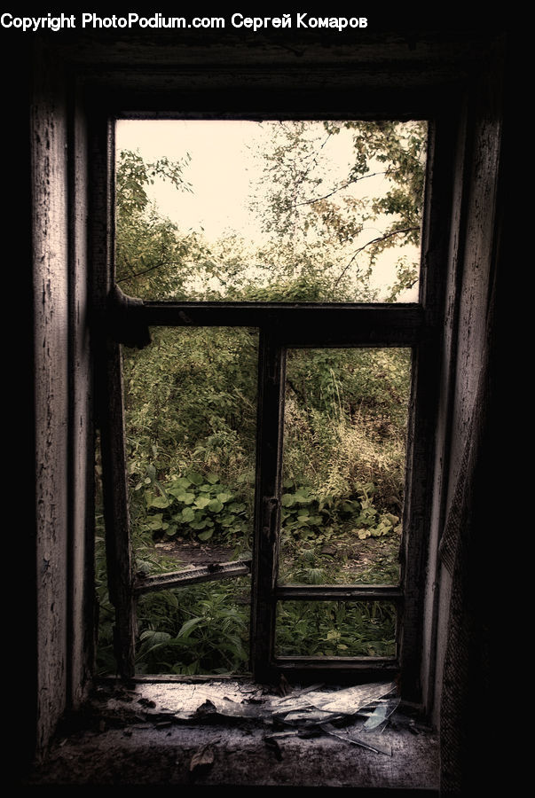 Window