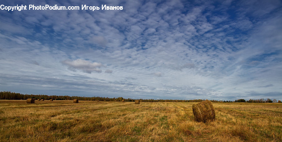 Field, Grass, Grassland, Land, Outdoors, Plant, Landscape