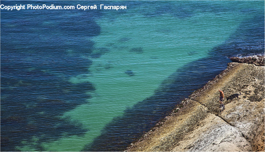 Coast, Outdoors, Sea, Water, Algae