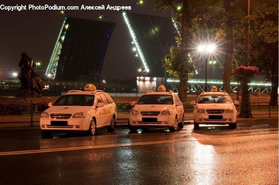 Cab, Car, Taxi, Vehicle, Automobile, Plant, Potted Plant