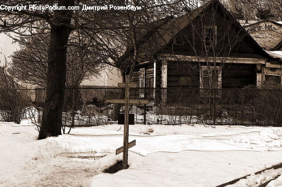 Oak, Tree, Wood, Bird Feeder, Building, Hut, Log Cabin