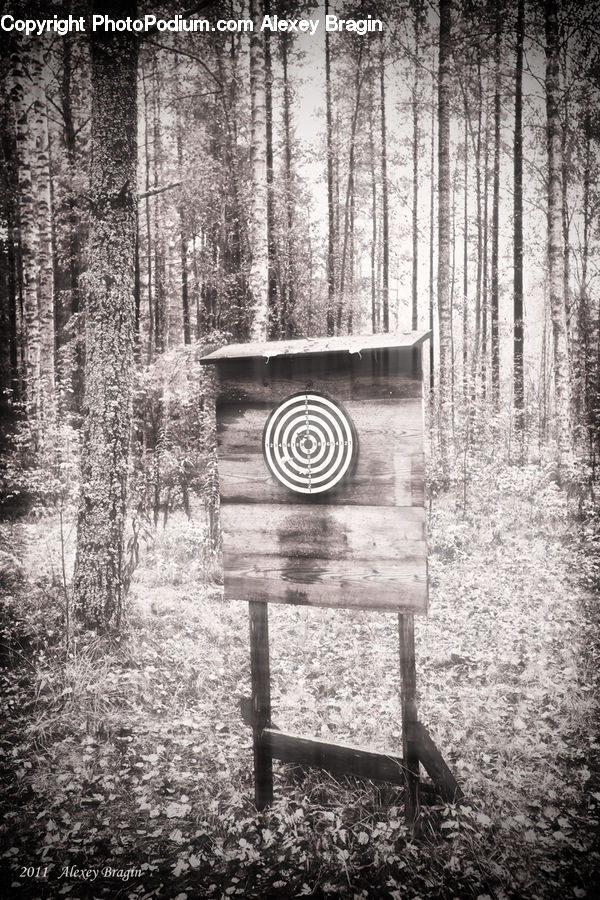 Labyrinth, Maze, Bench, Chair, Furniture, Forest, Vegetation