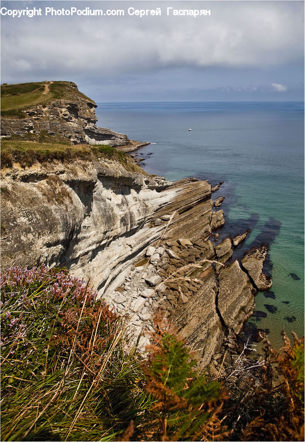 Cliff, Outdoors, Coast, Sea, Water, Conifer, Fir