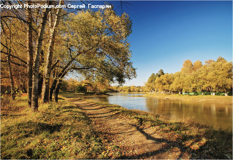 Plant, Tree, Outdoors, River, Water, Dirt Road, Gravel