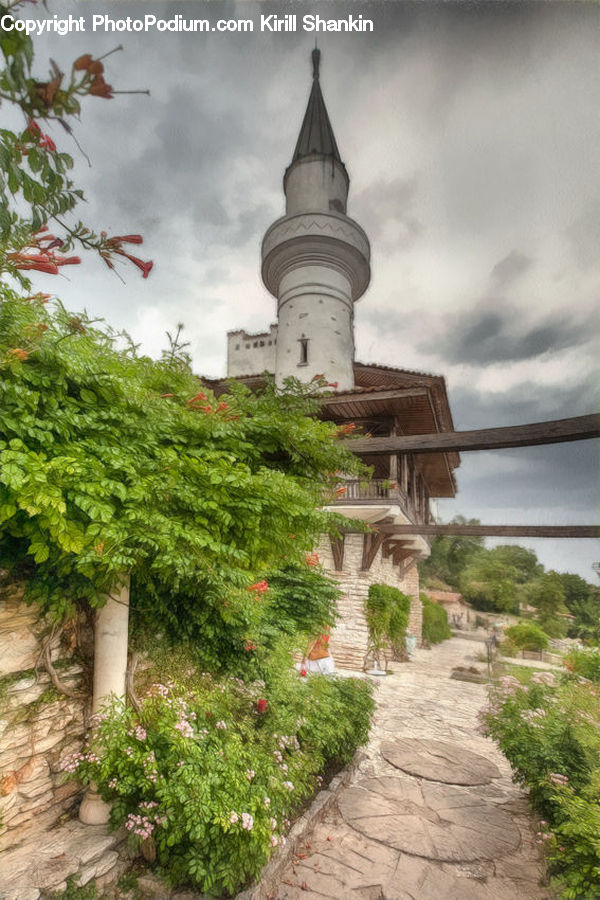 Ivy, Plant, Vine, Architecture, Tower, Bell Tower, Clock Tower