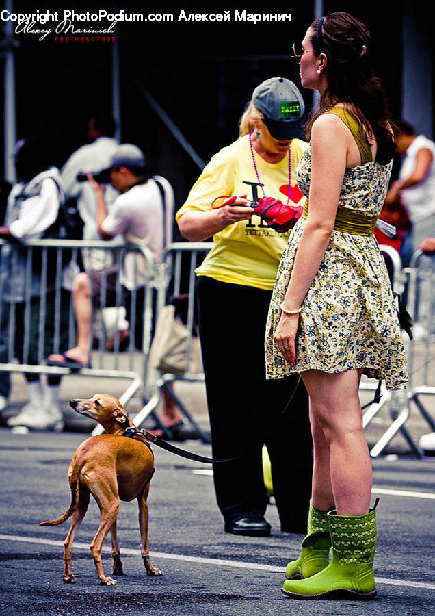 Human, People, Person, Footwear, Shoe, Shorts, Boxing