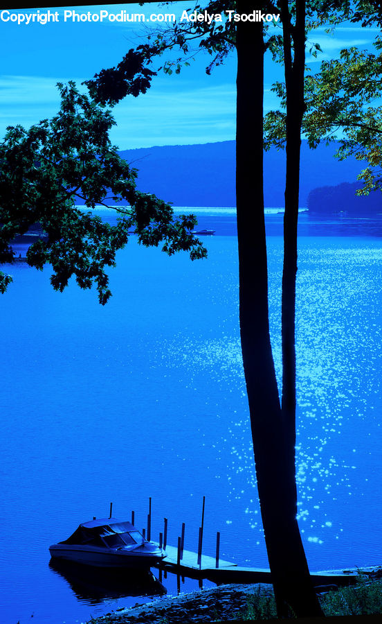 Dock, Landing, Pier, Submarine, Plant, Tree, Outdoors
