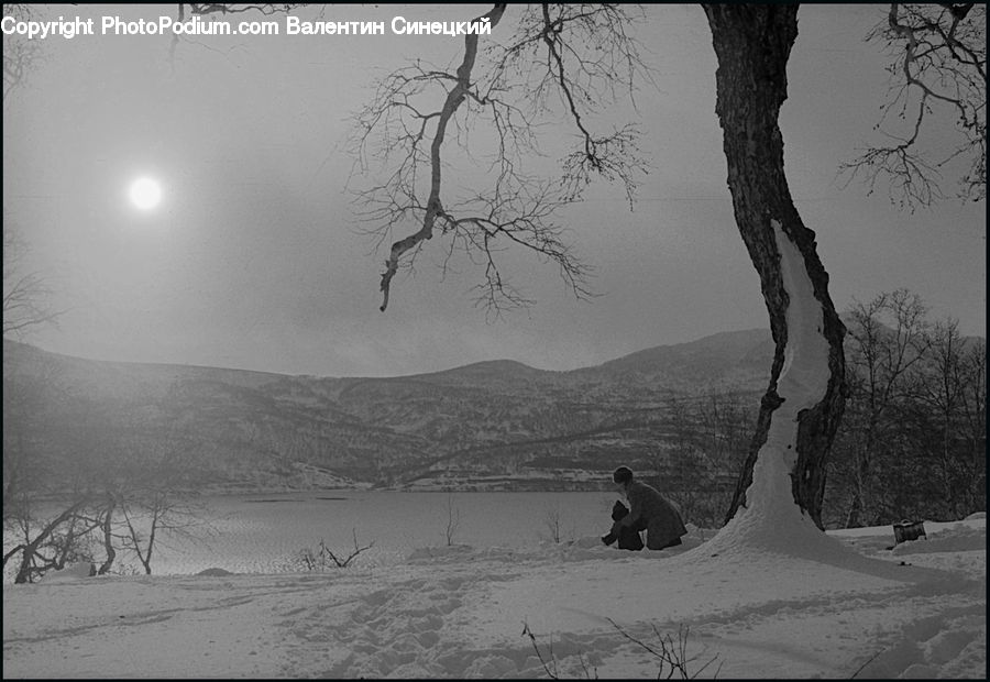 Ice, Outdoors, Snow, Plant, Tree, Countryside, Oak
