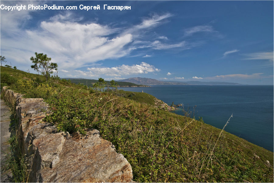 Coast, Outdoors, Sea, Water, Cliff, Promontory, Conifer