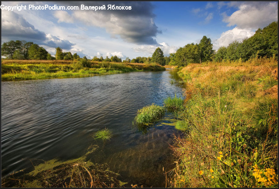 Lake, Outdoors, Water, Field, Grass, Grassland, Plant