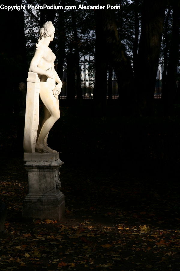 People, Person, Human, Art, Sculpture, Statue, Night