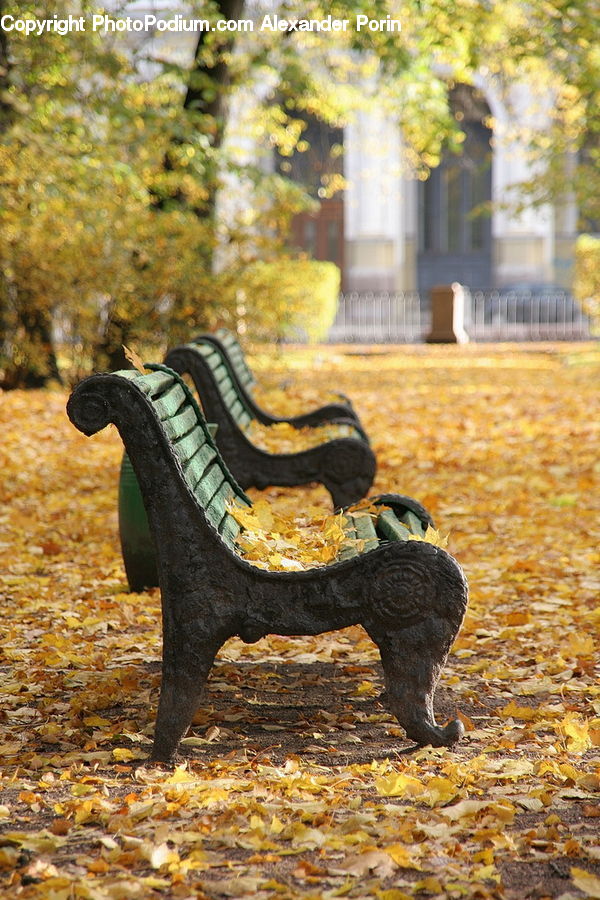 Bench, Furniture, Soil