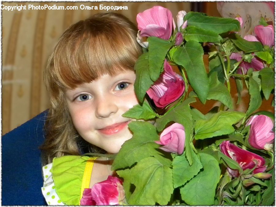People, Person, Human, Collage, Poster, Flower, Flower Arrangement