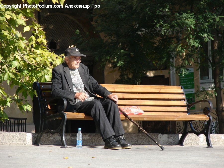 Plant, Potted Plant, People, Person, Human, Park Bench, Bench