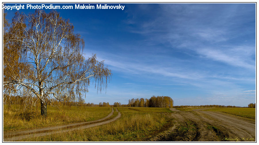 Dirt Road, Gravel, Road, Field, Grass, Grassland, Land