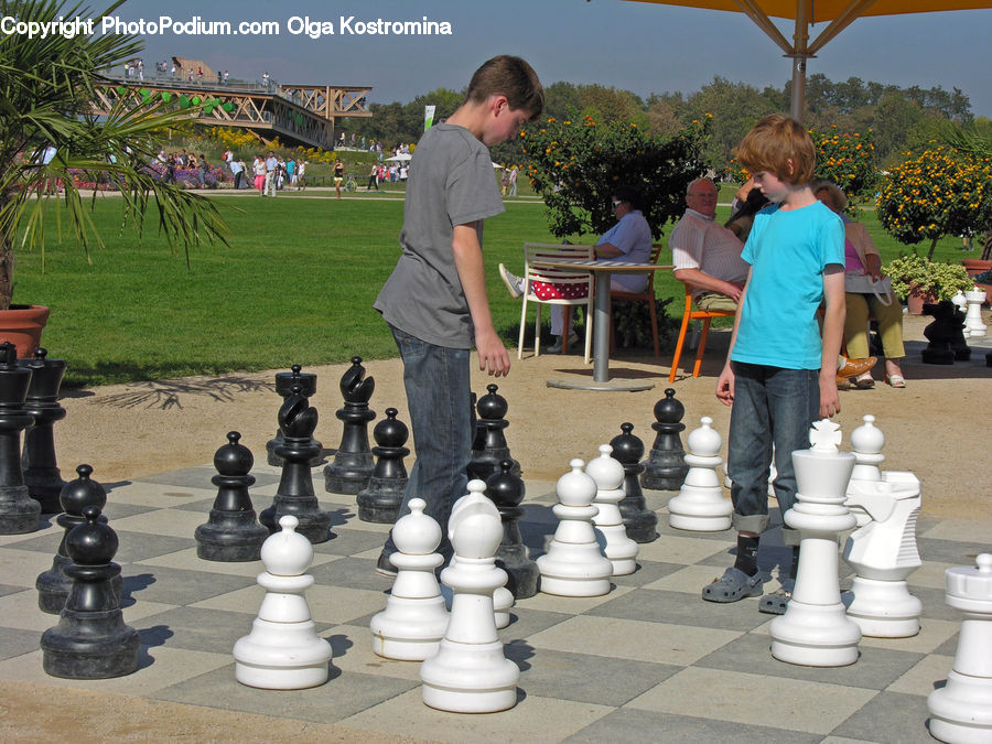 Chess, Game, Human, People, Person, Team, Troop
