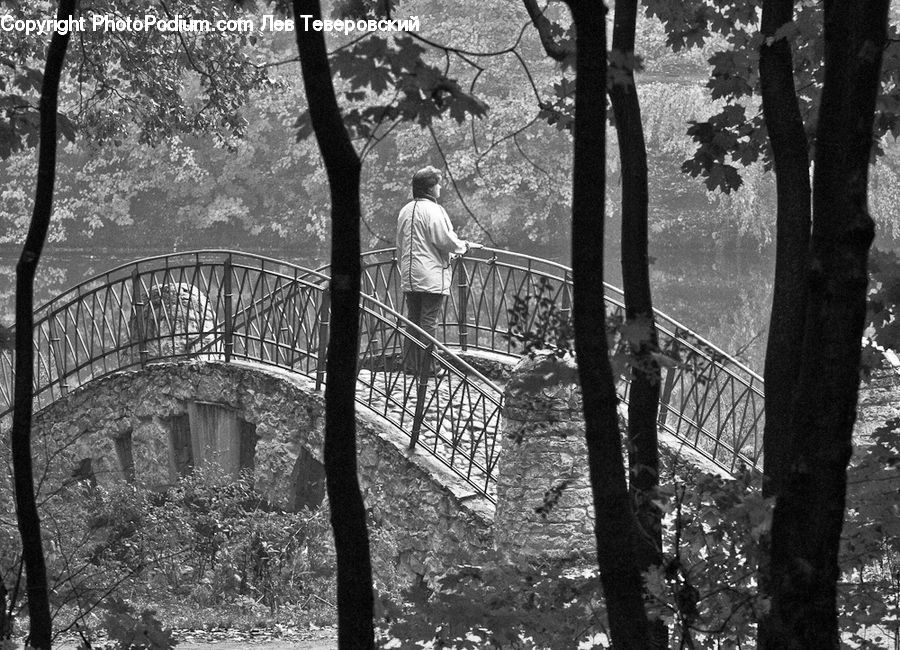 People, Person, Human, Plant, Tree, Forest, Vegetation