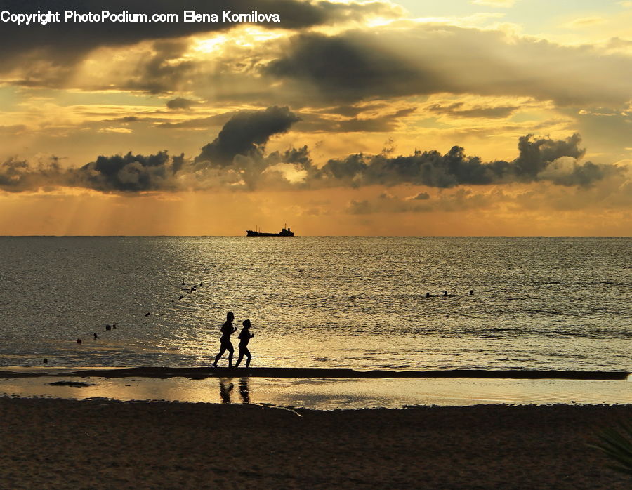 Beach, Coast, Outdoors, Sea, Water, Exercise, Fitness