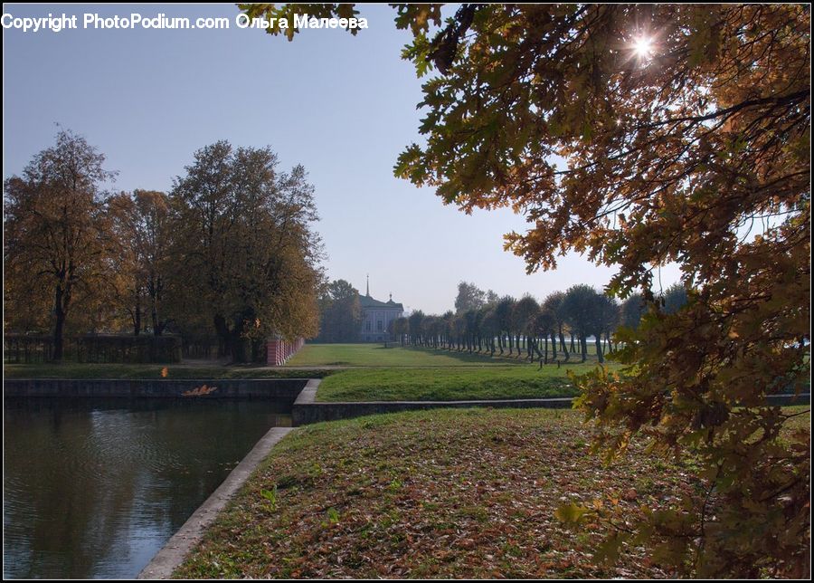Canal, Outdoors, River, Water, Conifer, Fir, Pine