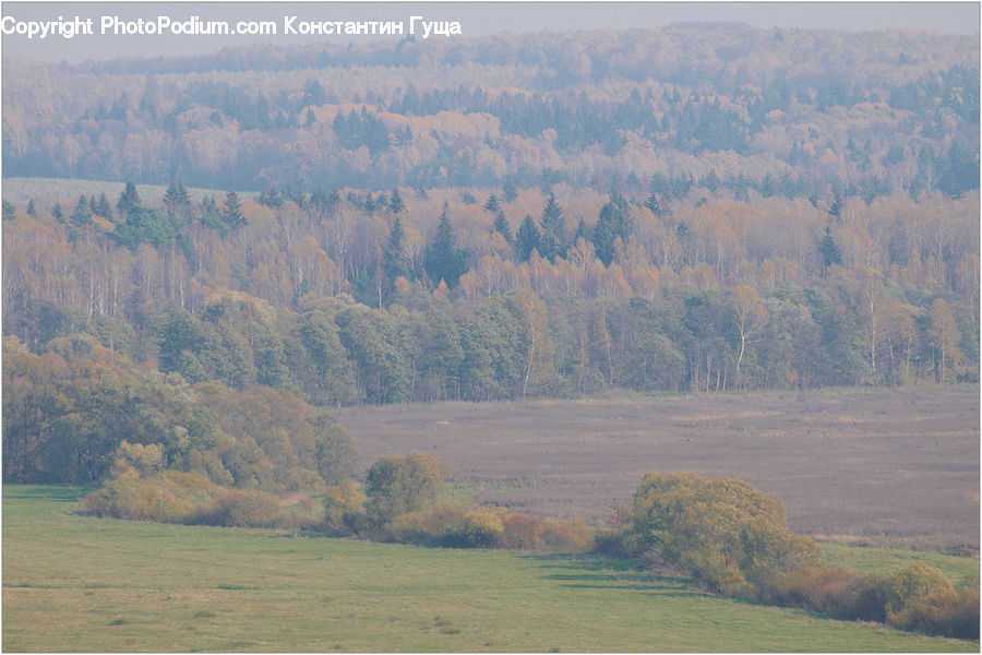 Field, Grass, Grassland, Land, Outdoors, Aerial View, Conifer